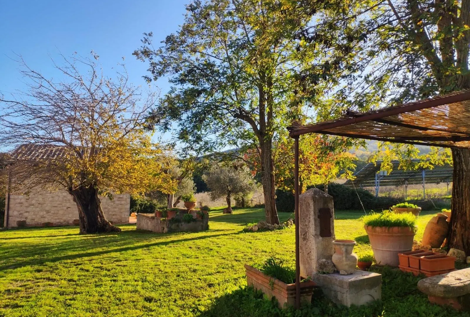 Agriturismo Collina Degli Ulivi 사르티아노 0*,