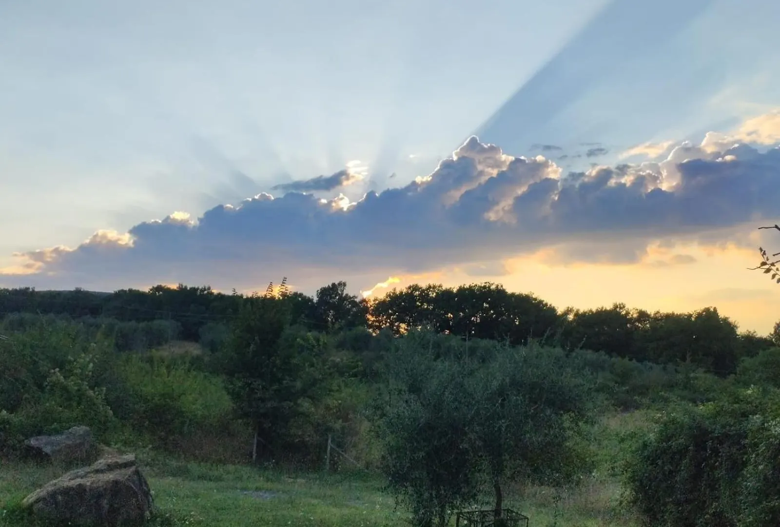 Agriturismo Collina Degli Ulivi 사르티아노 아파트