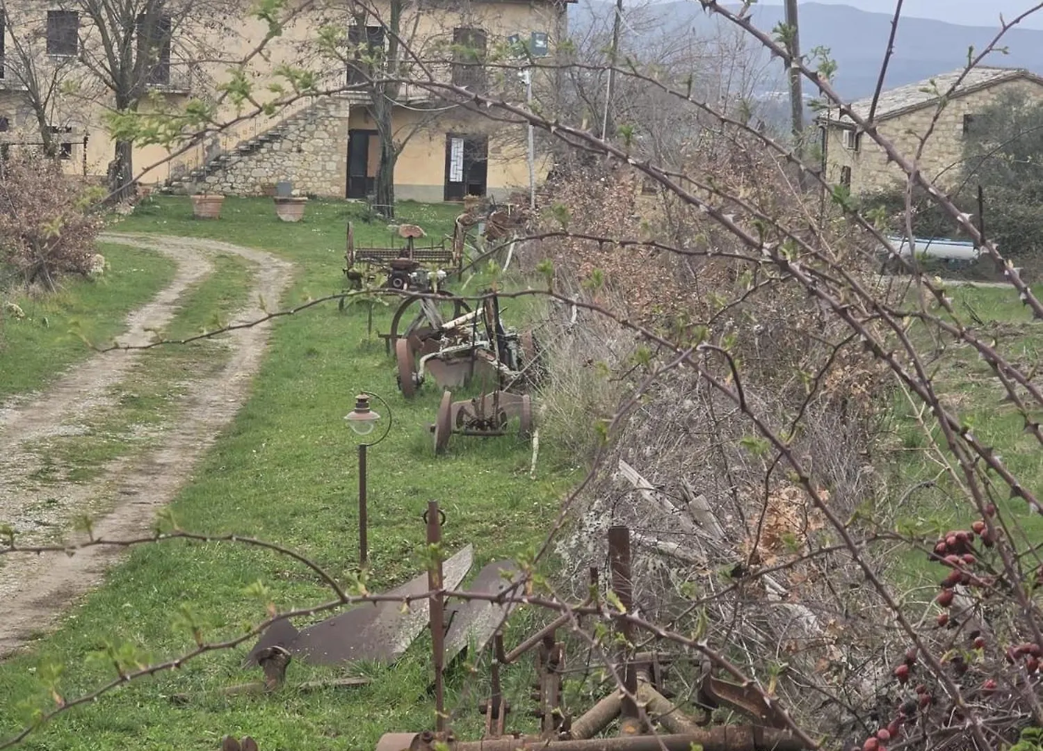 Agriturismo Collina Degli Ulivi 사르티아노 0*,
