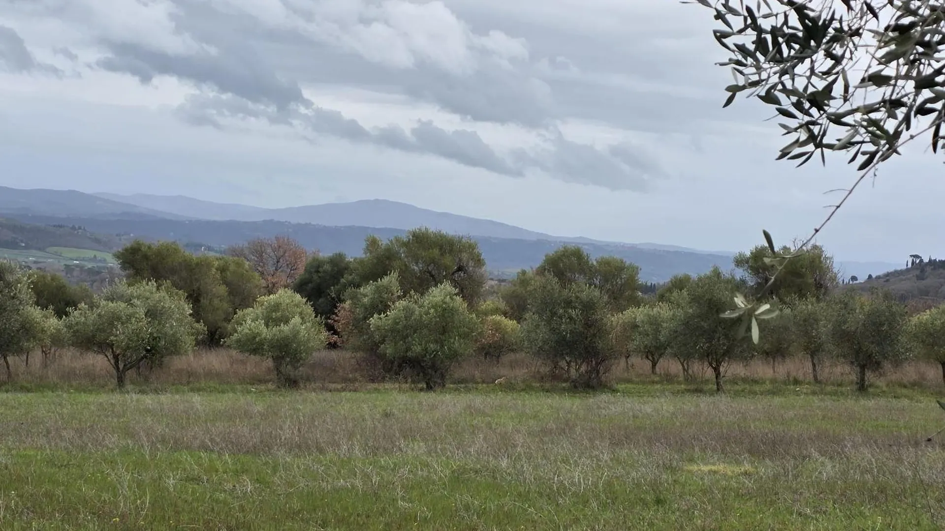 Agriturismo Collina Degli Ulivi 사르티아노 0*,  이탈리아