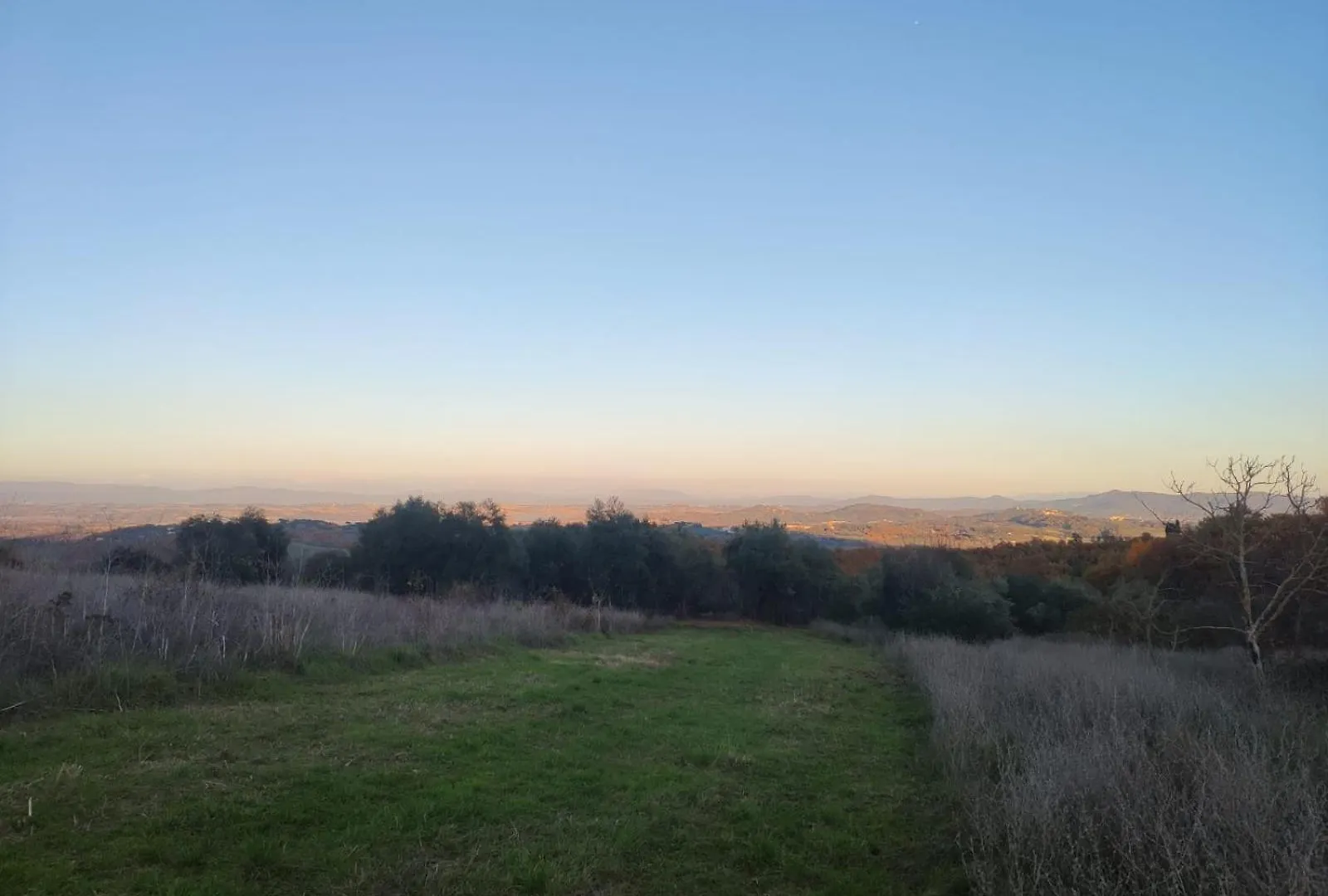 아파트 Agriturismo Collina Degli Ulivi 사르티아노 이탈리아