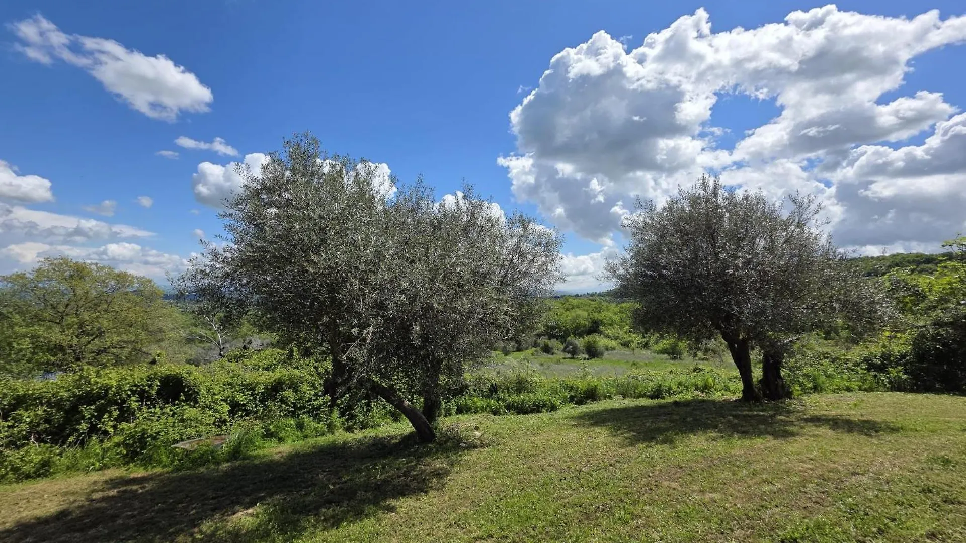 Agriturismo Collina Degli Ulivi 사르티아노 이탈리아