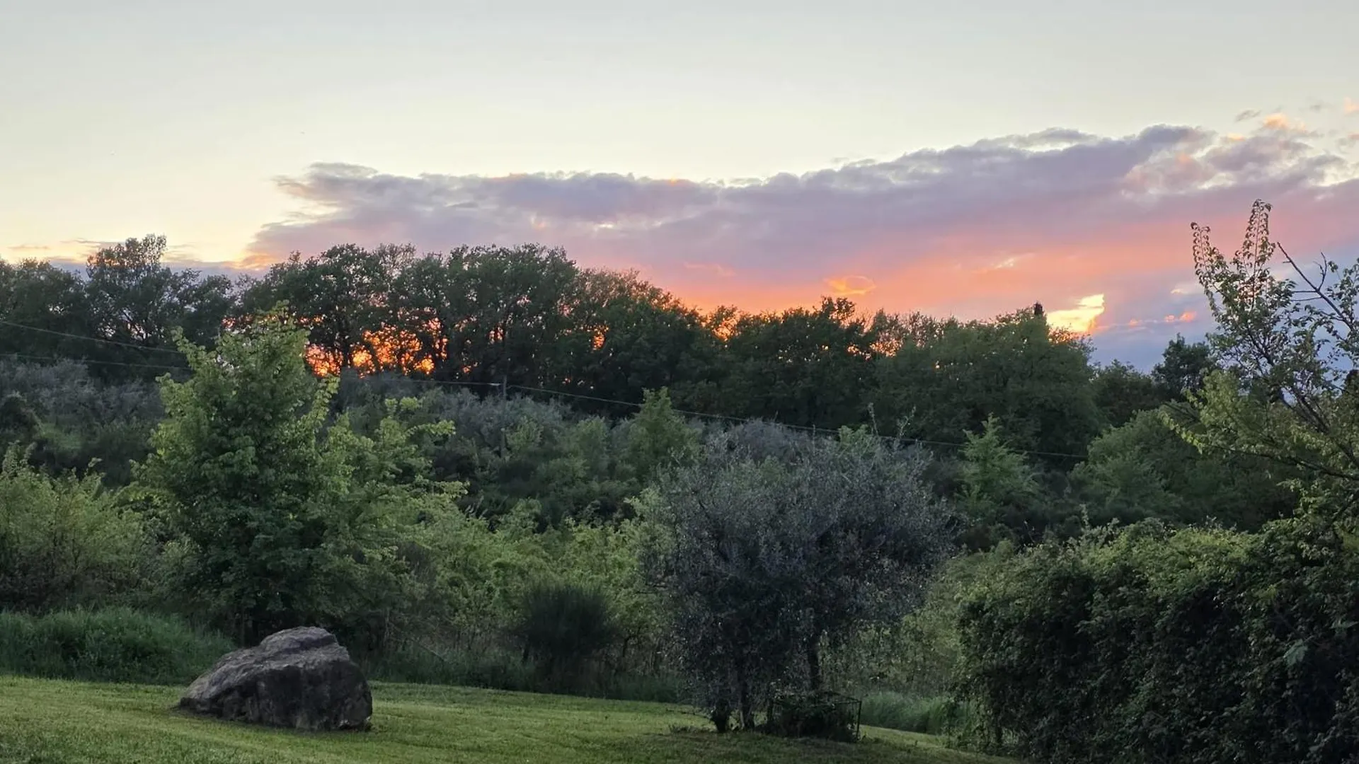 아파트 Agriturismo Collina Degli Ulivi 사르티아노 이탈리아