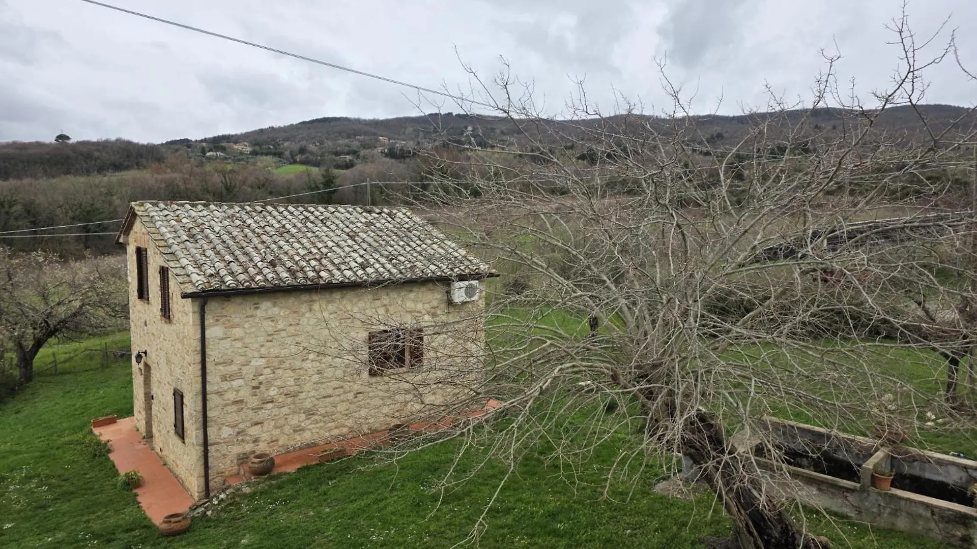 Agriturismo Collina Degli Ulivi Sarteano Apartment