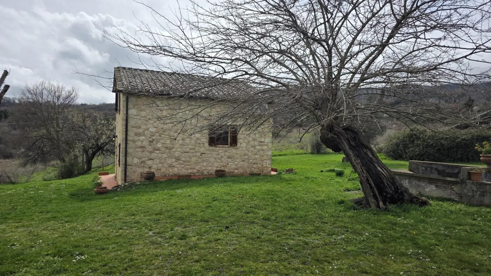 Apartment Agriturismo Collina Degli Ulivi Sarteano Italy