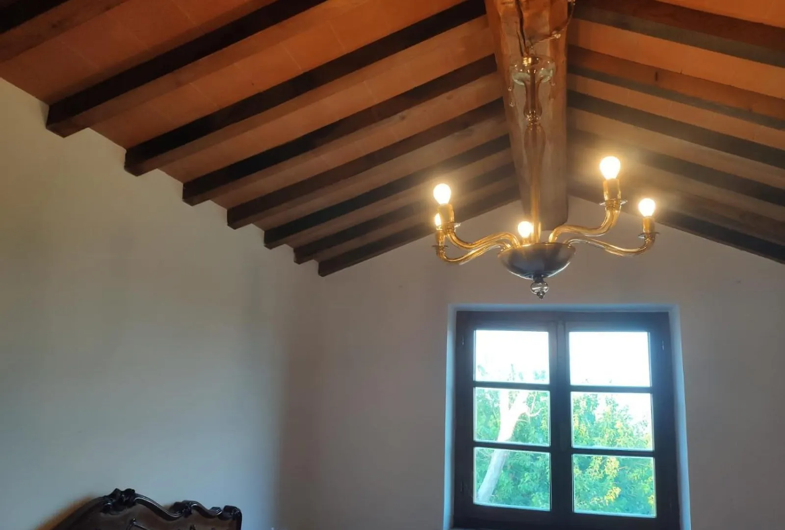 Agriturismo Collina Degli Ulivi Sarteano