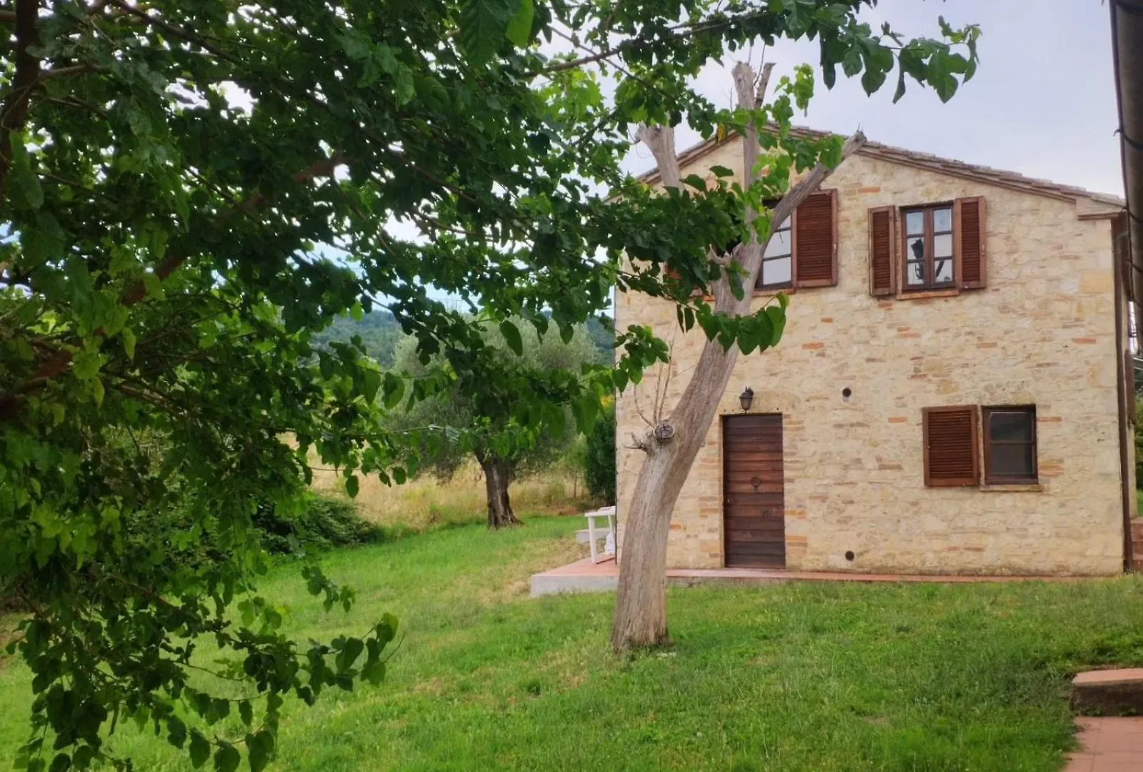 Apartment Agriturismo Collina Degli Ulivi Sarteano