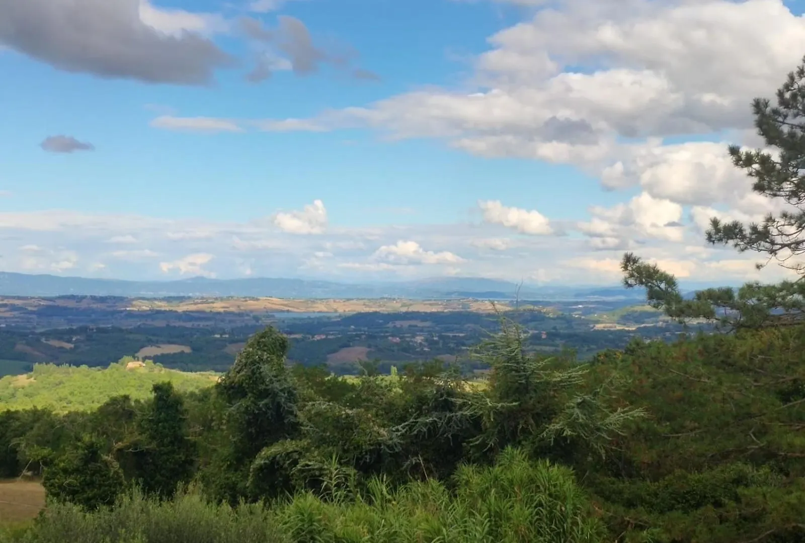 Agriturismo Collina Degli Ulivi Sarteano Apartment