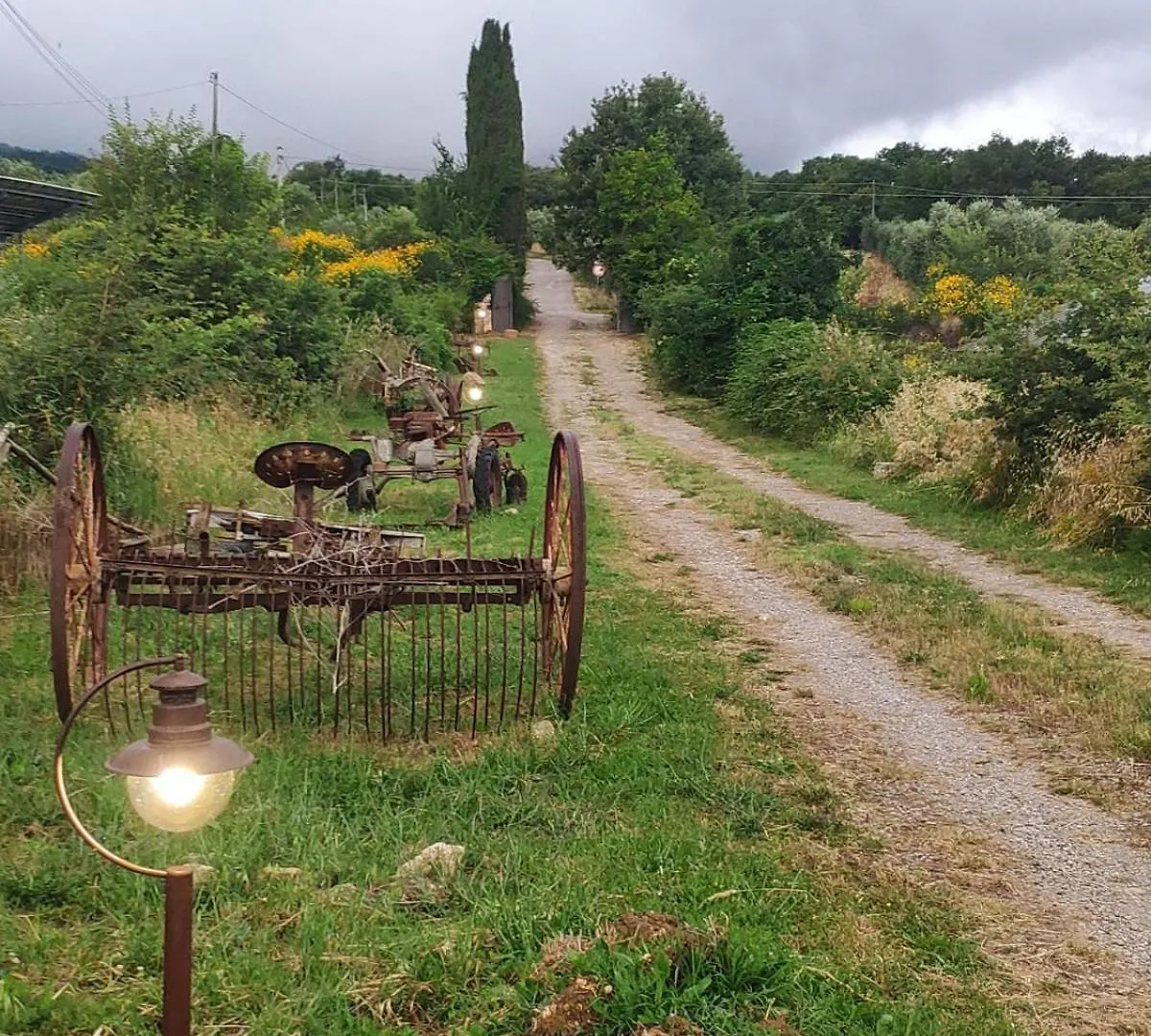 Agriturismo Collina Degli Ulivi Sarteano Apartment