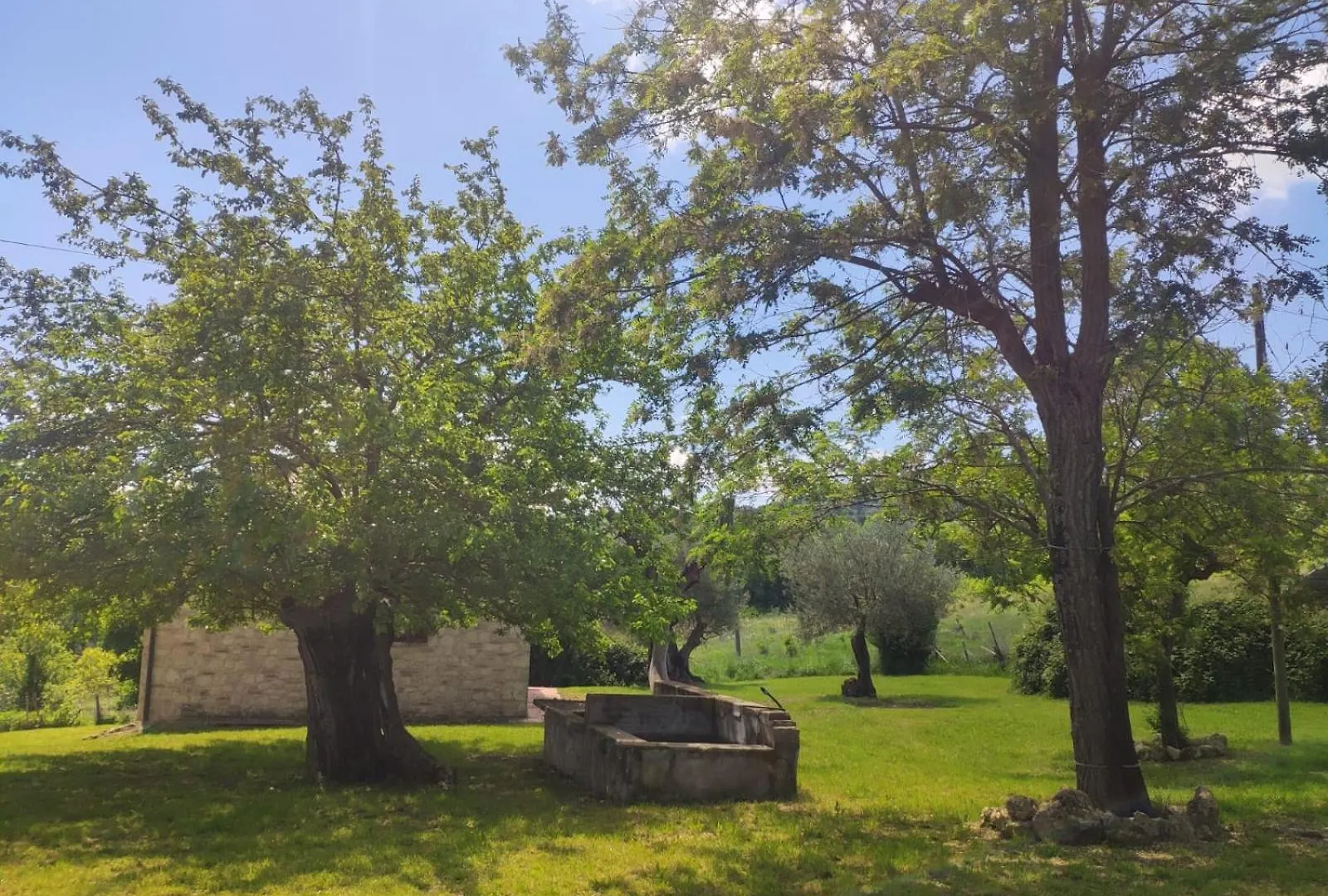 Apartment Agriturismo Collina Degli Ulivi Sarteano Italy