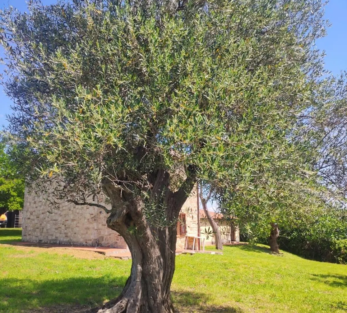 Agriturismo Collina Degli Ulivi Sarteano 0*,  Italy