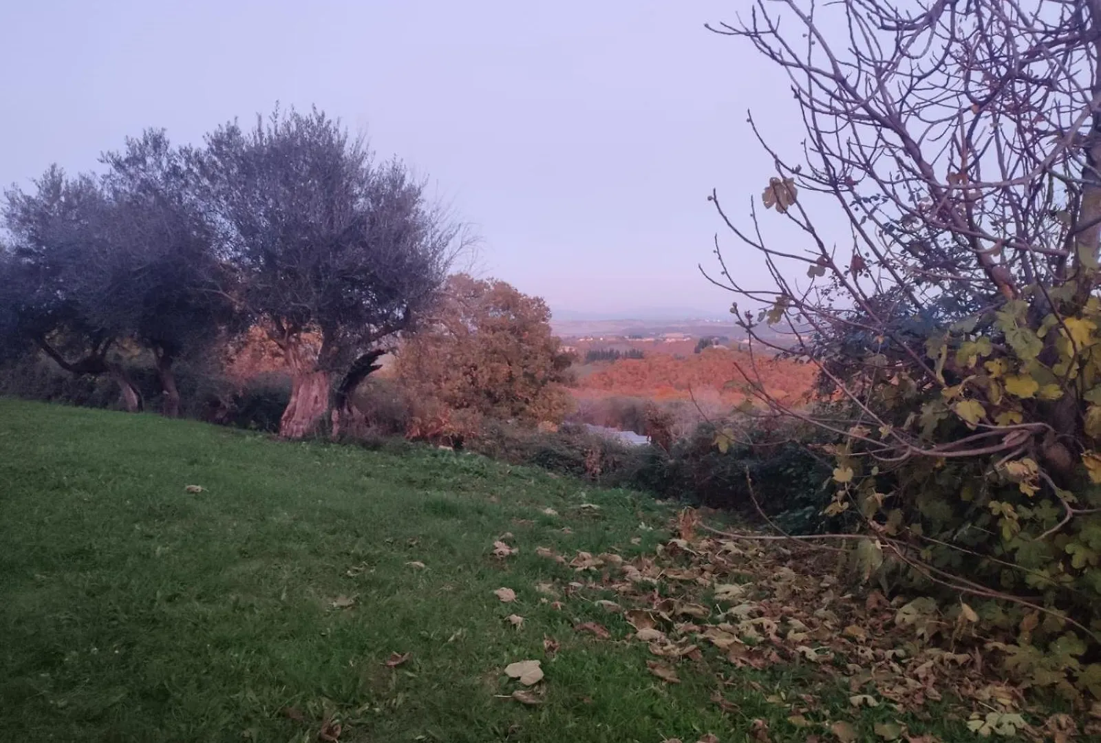 Apartment Agriturismo Collina Degli Ulivi Sarteano