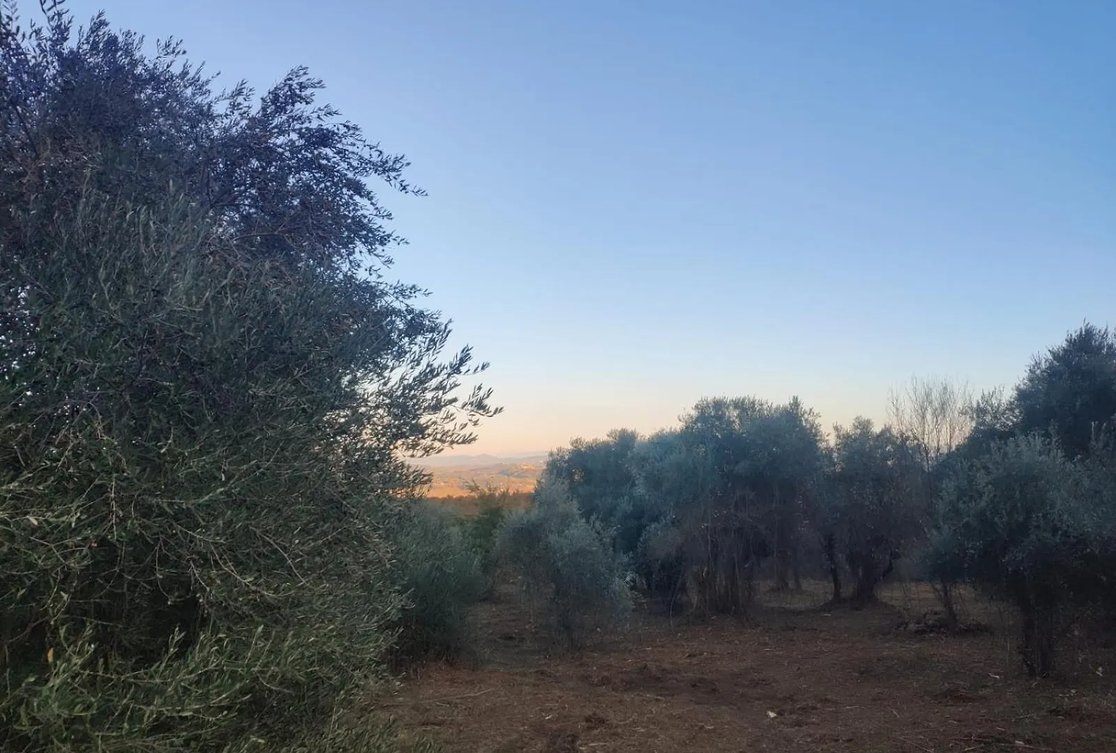 Agriturismo Collina Degli Ulivi Sarteano Italy