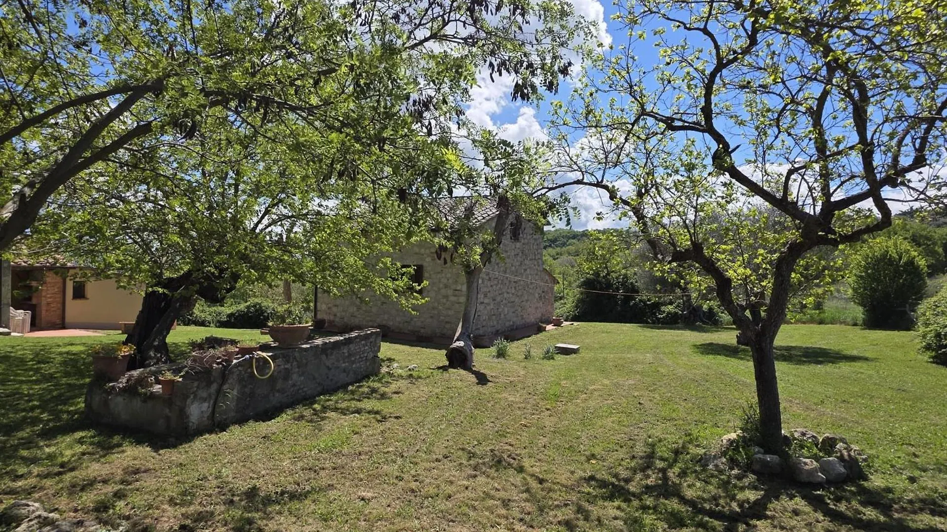 Agriturismo Collina Degli Ulivi Sarteano
