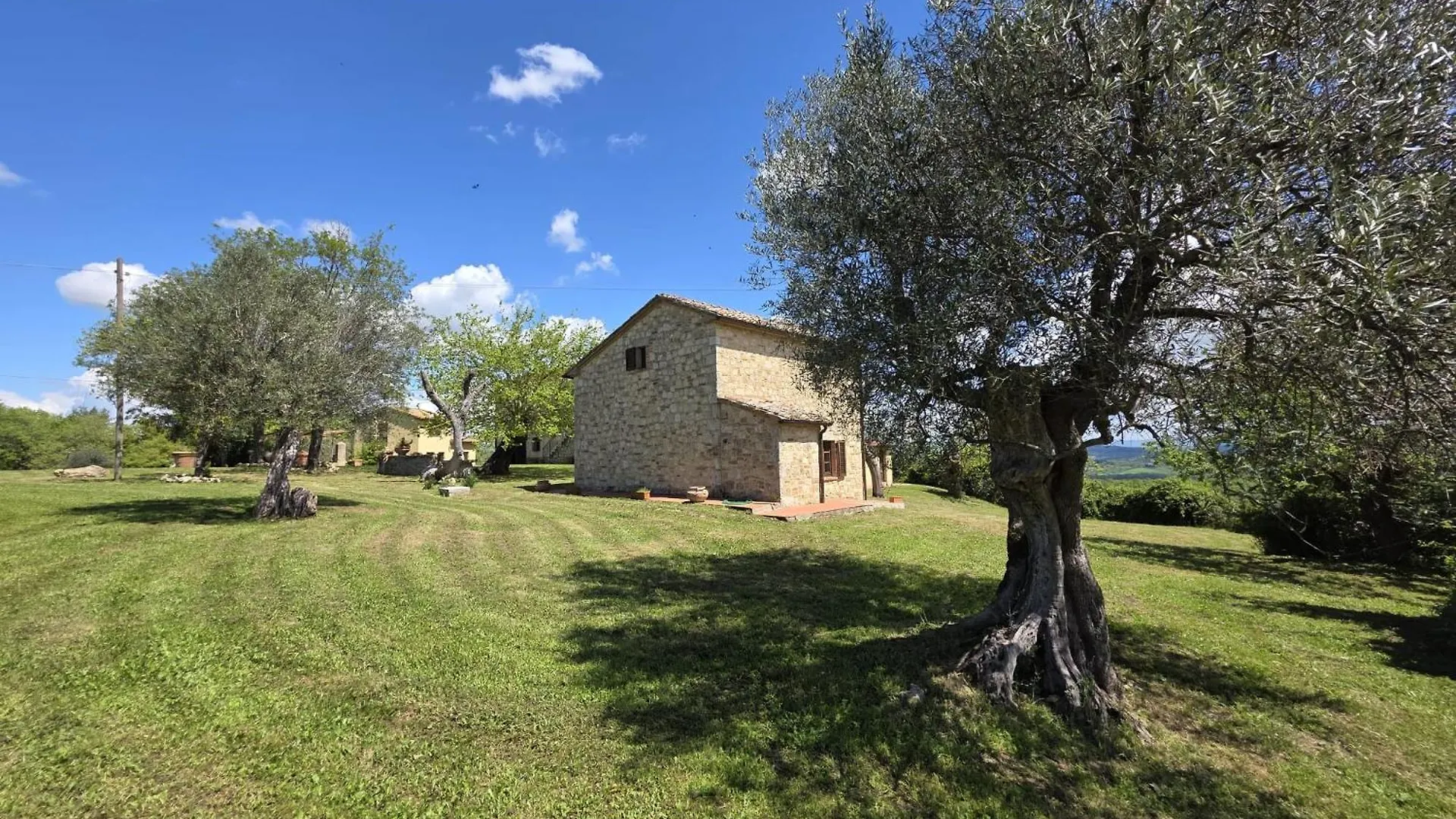 Apartment Agriturismo Collina Degli Ulivi Sarteano