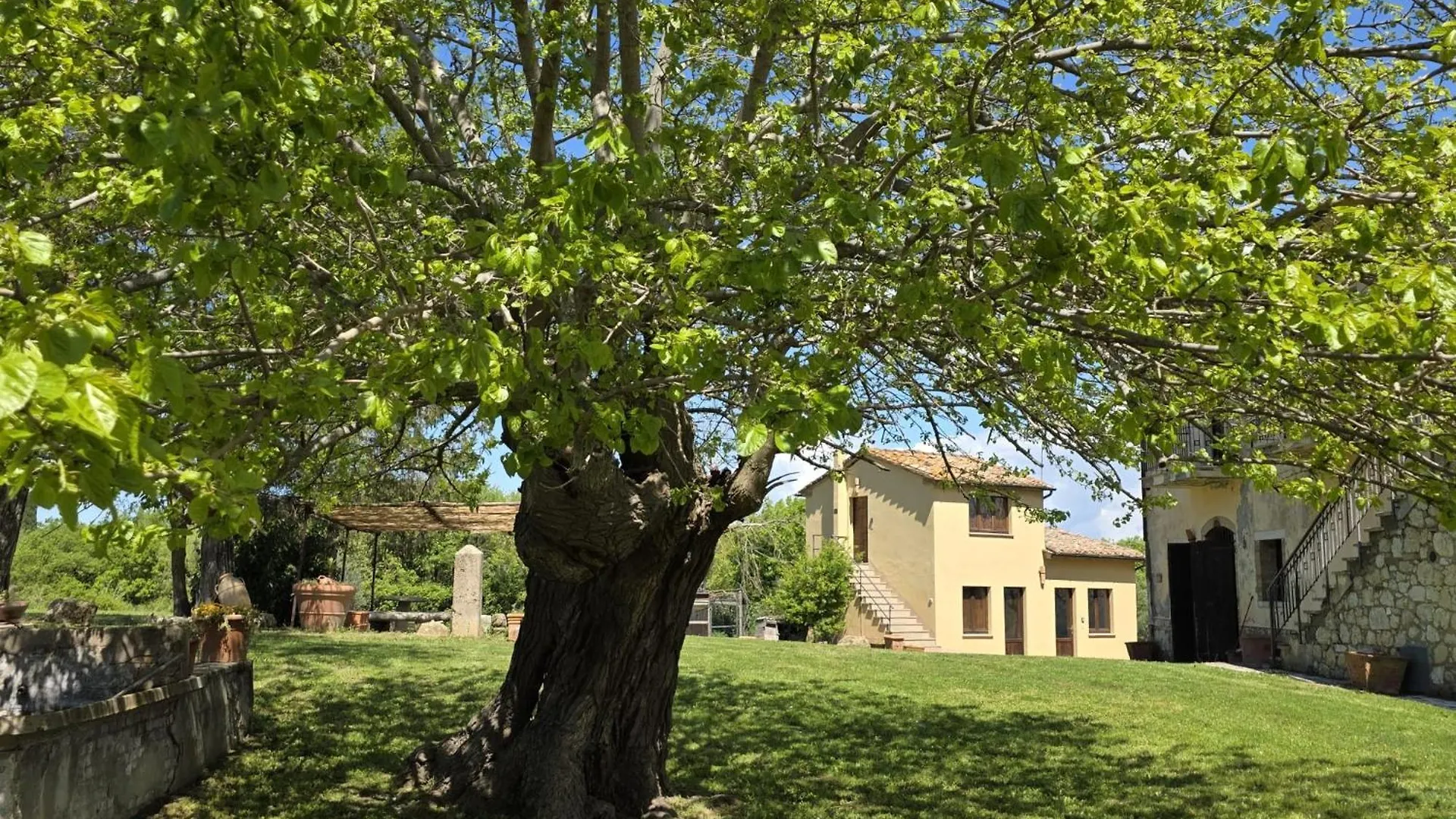 Agriturismo Collina Degli Ulivi Sarteano 0*,  Italy