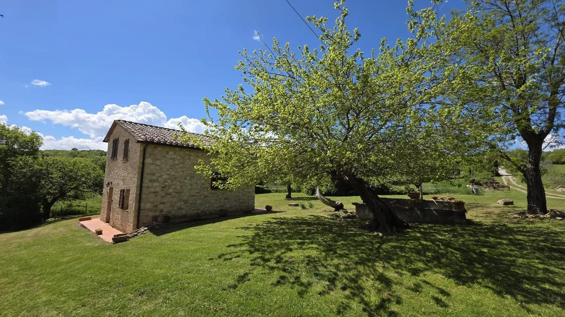 Apartment Agriturismo Collina Degli Ulivi Sarteano
